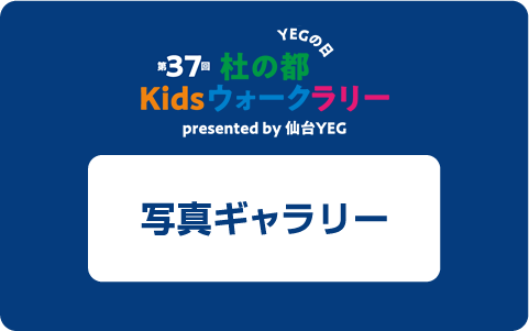 写真ギャラリー